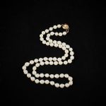 665995 Pearl necklace